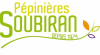 Logo pépinières SOUBIRAN